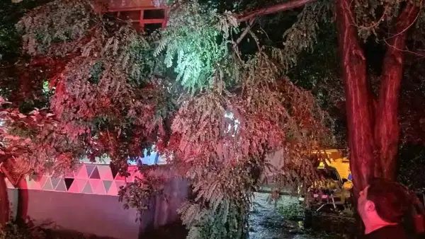 Erdekte firtina ve dolu yagisi agaclar devrildi catilar uctu fnSQHK8Z
